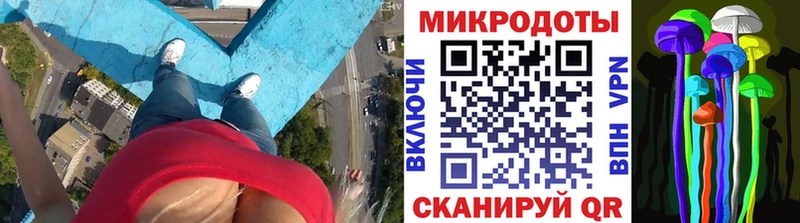 Галлюциногенные грибы Cubensis  дарнет шоп  нарко площадка формула  Старая Купавна 