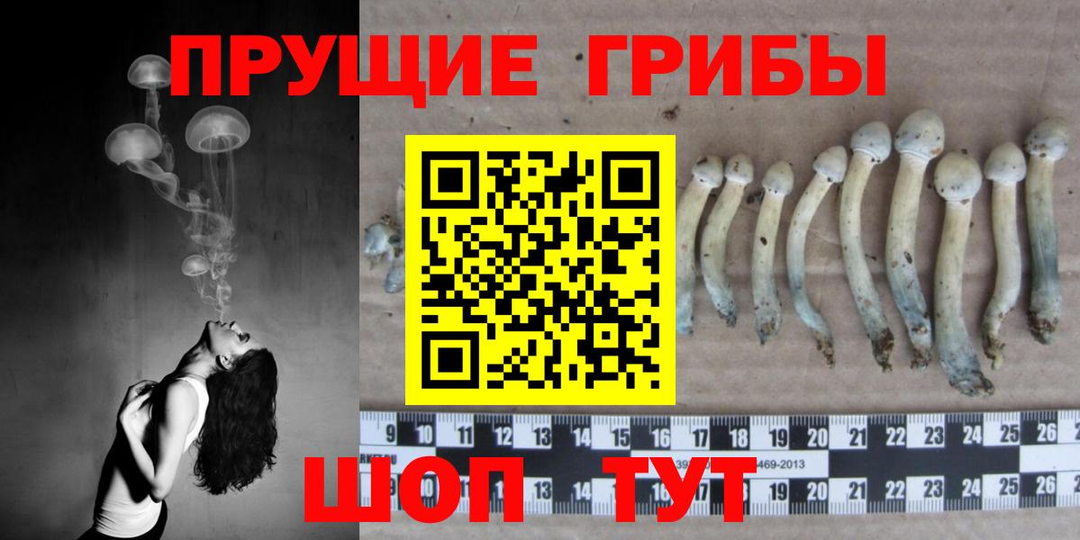 Старая Купавна  Галлюциногенные грибы Magic Shrooms  Вход с VPN  Псилоцибиновые грибы Psilocybine cubensis 